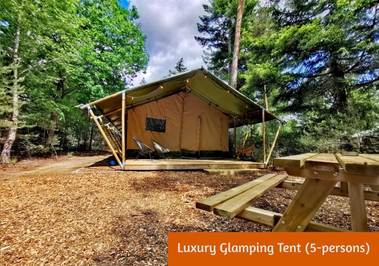 Glamping In Nature By Outdoors ホルテン エクステリア 写真