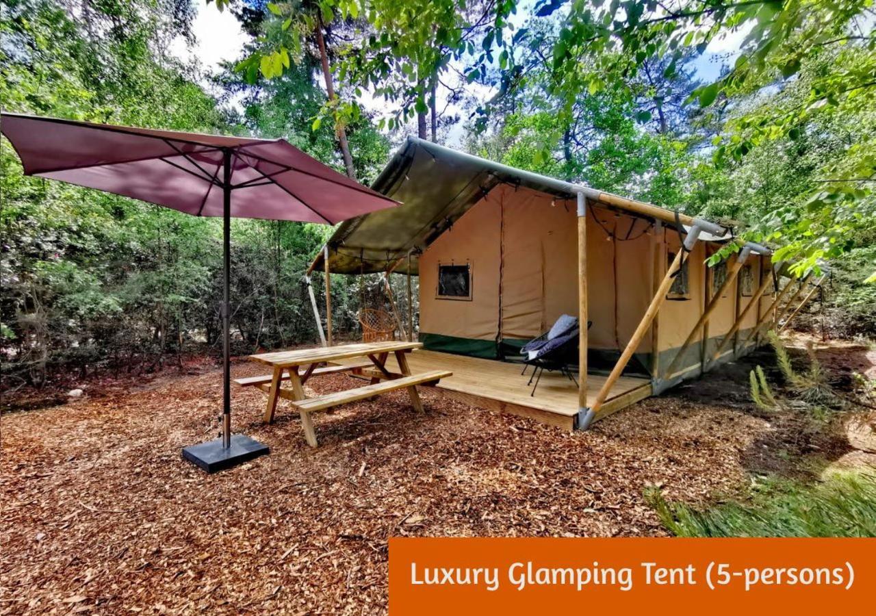 Glamping In Nature By Outdoors ホルテン エクステリア 写真