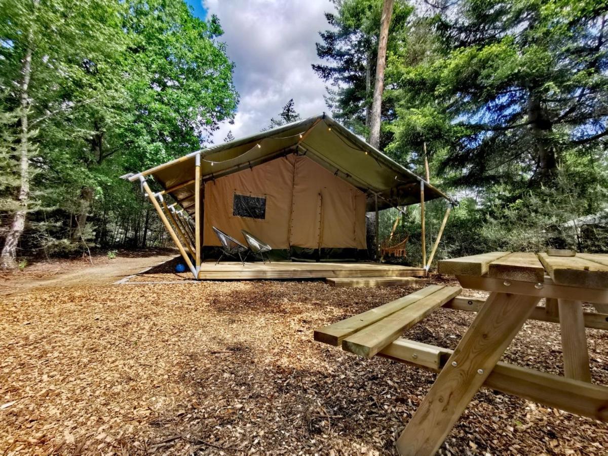 Glamping In Nature By Outdoors ホルテン エクステリア 写真
