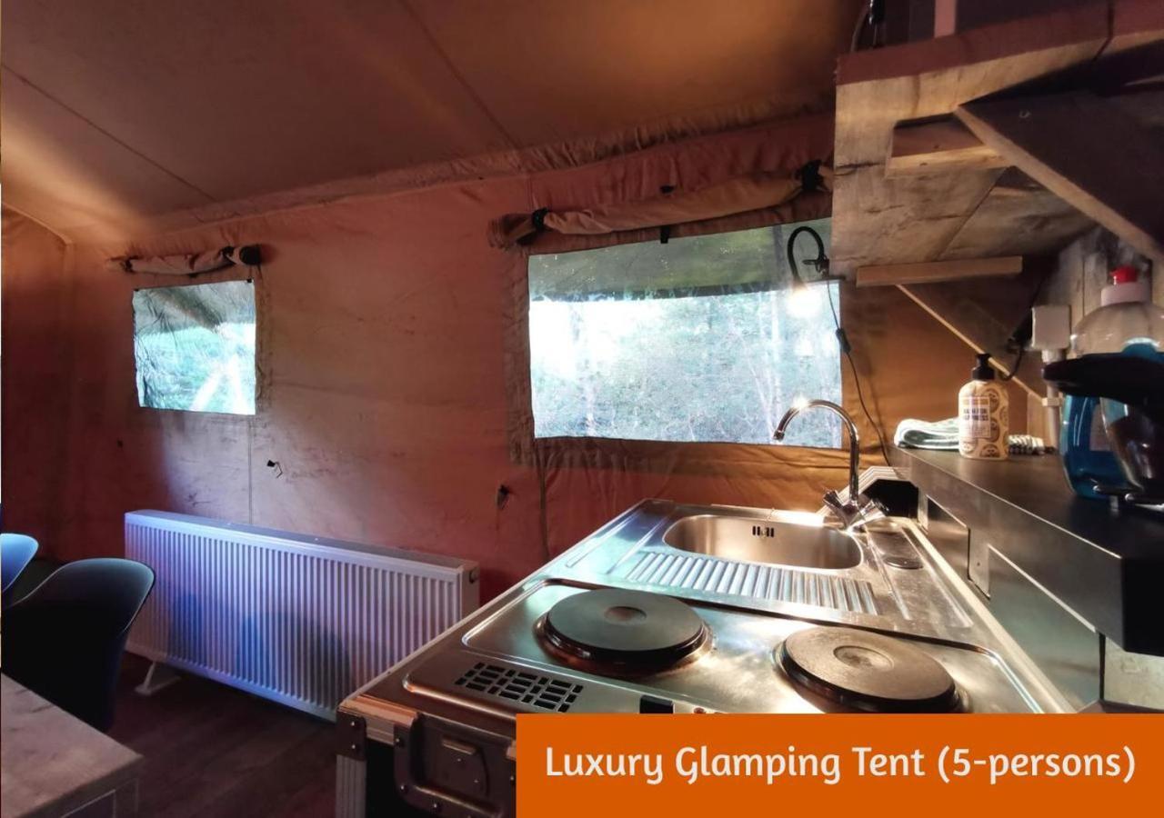 Glamping In Nature By Outdoors ホルテン エクステリア 写真