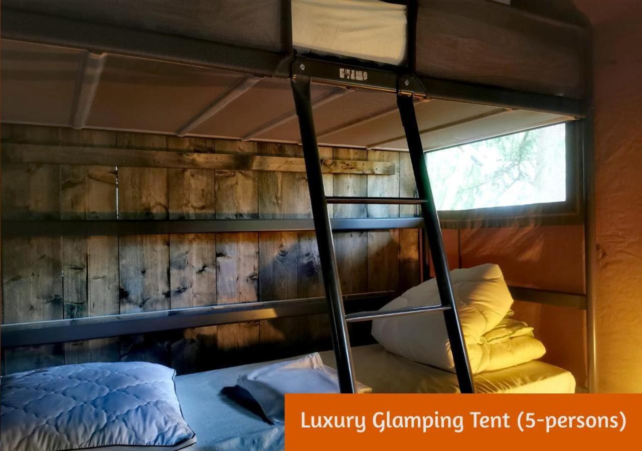 Glamping In Nature By Outdoors ホルテン エクステリア 写真